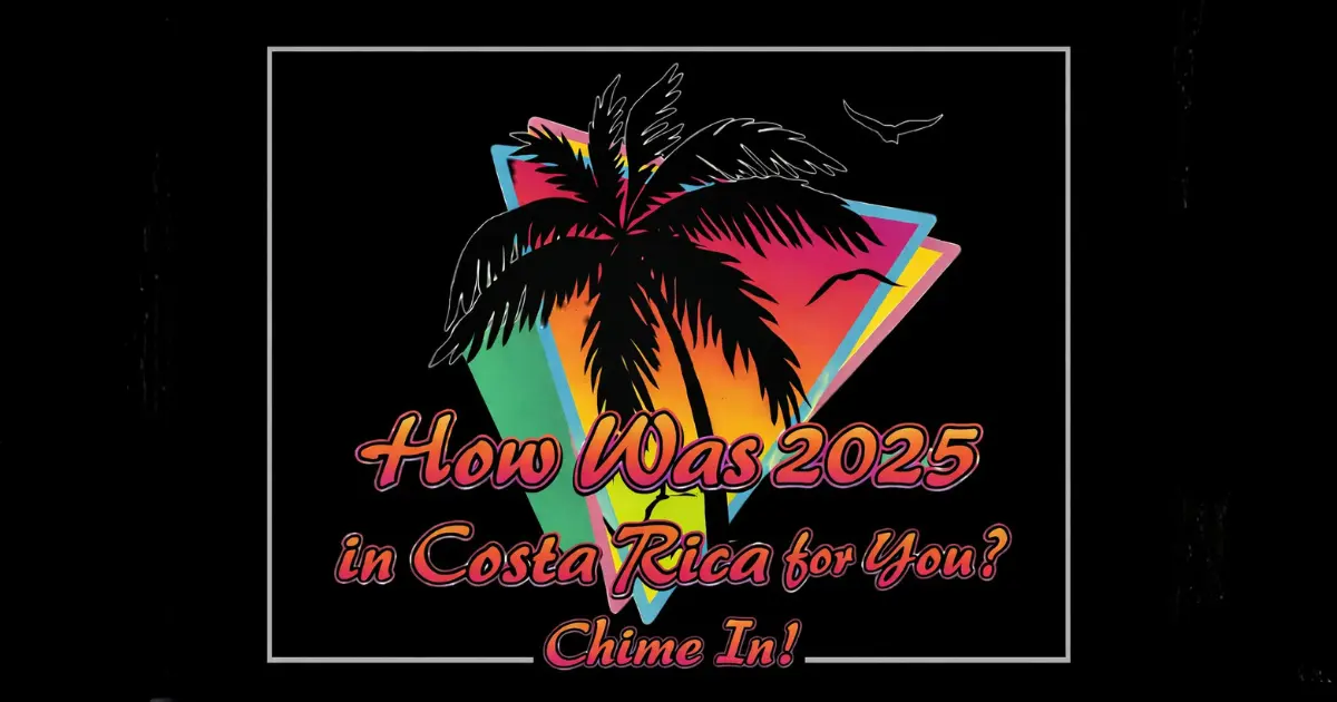 Before Looking Ahead, Take a Moment to Look Back